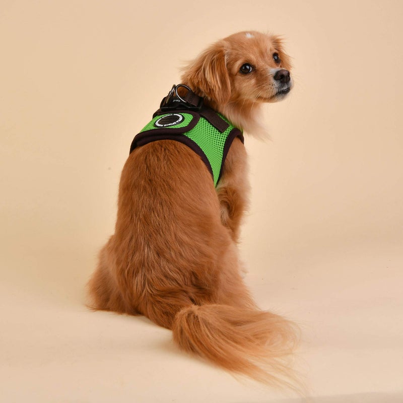 Puppia Soft Vest Harness B II - Green - L - Image 4